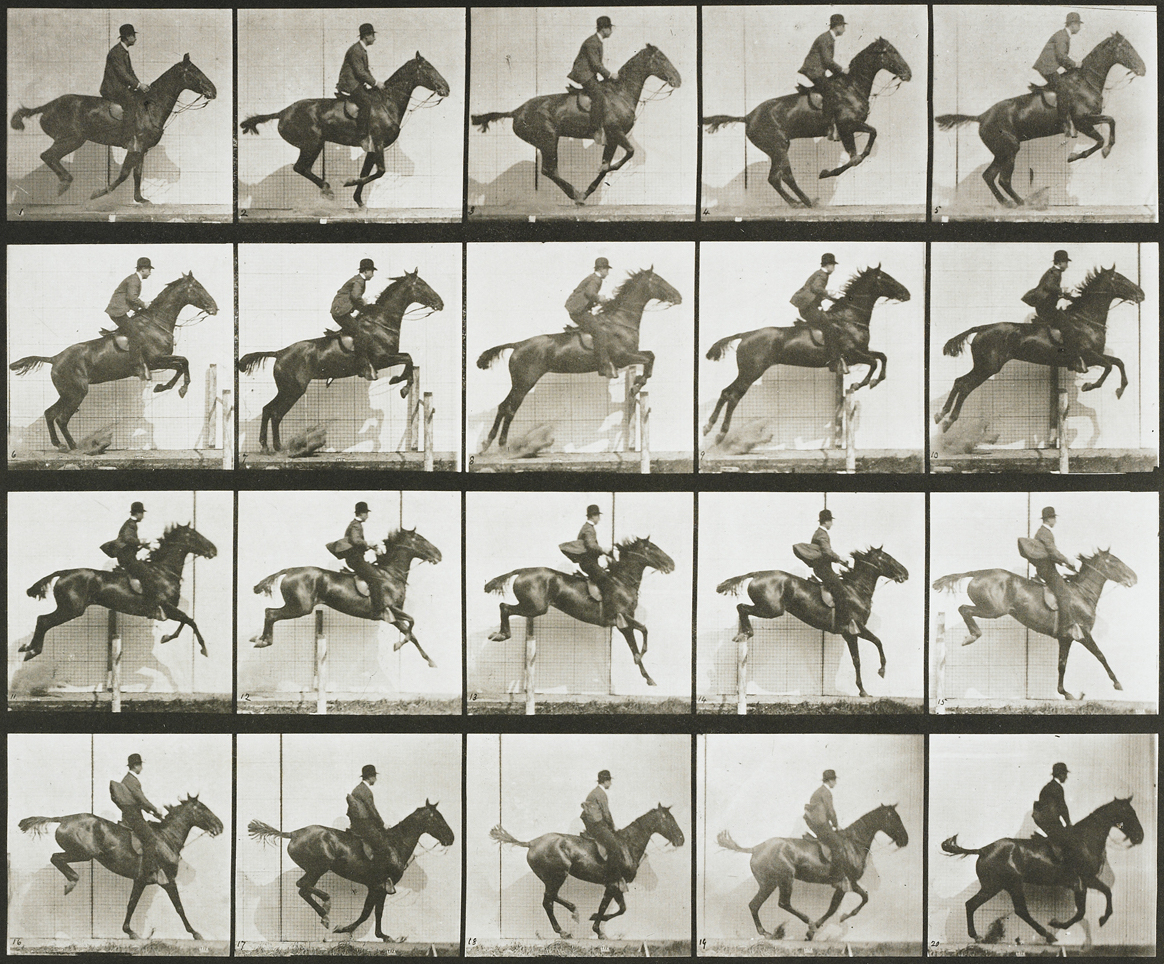 Eadweard's Muybridge study of motion